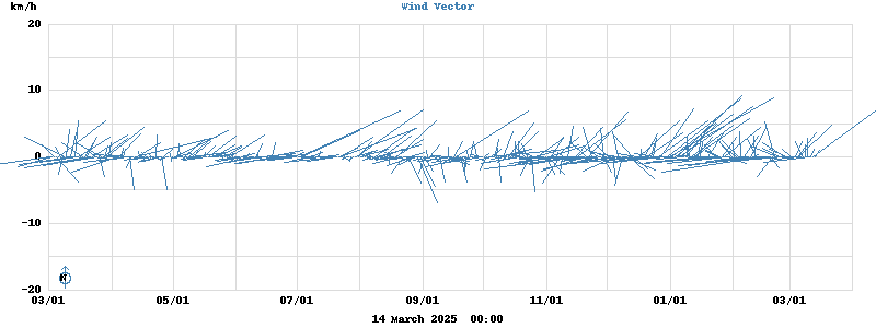 Wind Vector